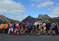 The 2014 Bunch
